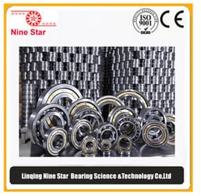 6218M_C3VL0241 insulated bearing factory